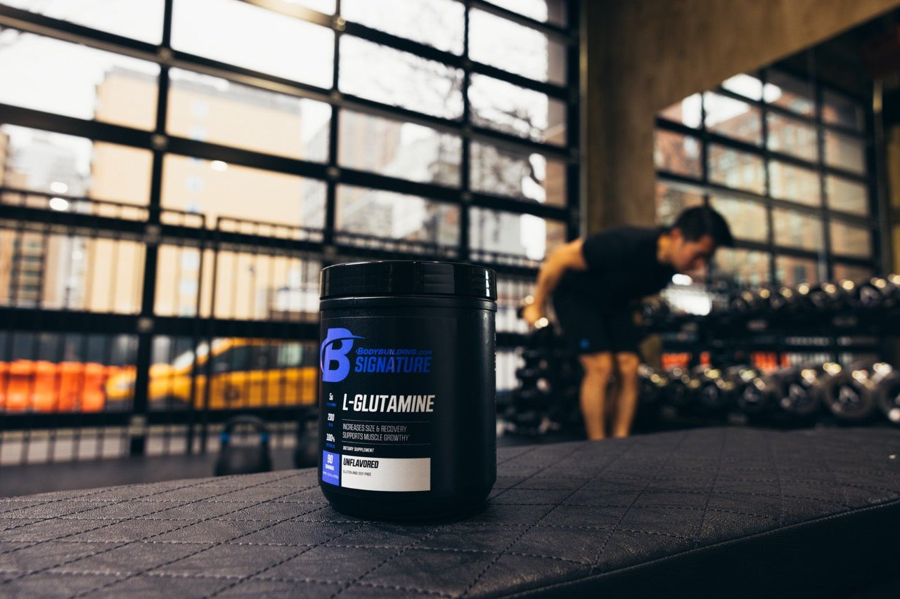 Bodybuilding.com Signature L - Glutamine - Bodybuilding.com